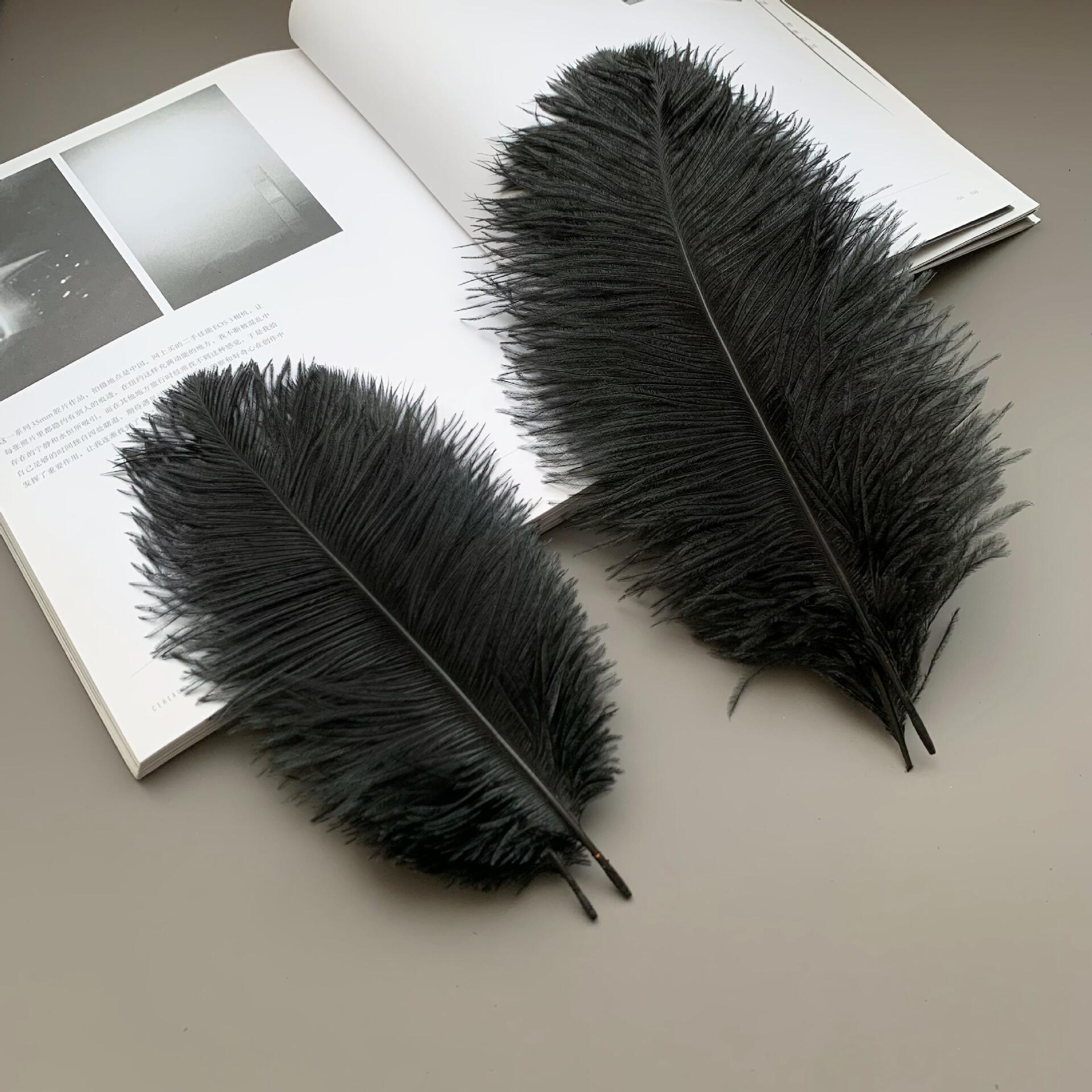 厂家现货黑色鸵鸟毛15