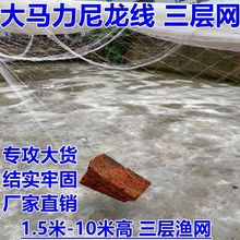 尼龙线渔网粘网三层沉网加粗加重鱼网挂鱼网鲢鲫鱼捕鱼网大鱼丝网