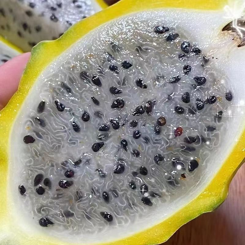 海南山野燕窝果麒麟果应季孕妇水果黄色皮火龙果热带特产水果