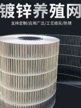 镀锌铁丝网镀锌钢丝网鸡笼兔子笼鸡鸭围栏网做鸟笼鸽子笼封窗防护