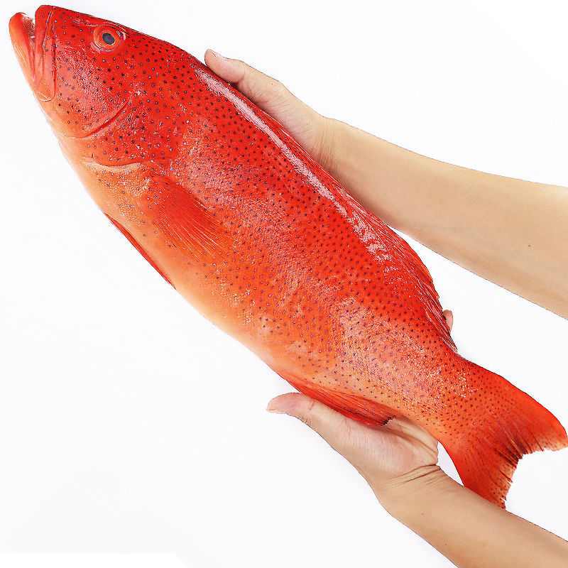 冰鲜东星斑海鲜海南深海鱼活冻燕尾红东星斑新鲜鱼类年货送礼冷冻