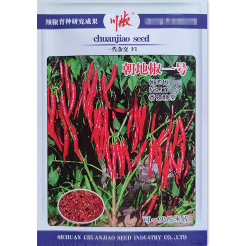 包邮朝地椒一号辣椒种子川椒基地大田种植专做红干椒的辣椒品种