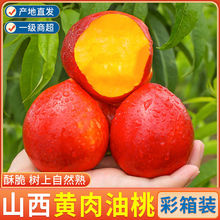 【彩箱】黄心油桃大桃子3/5/9斤应季新鲜水果现摘脆桃黄肉批发
