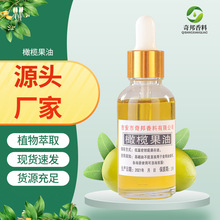 橄榄果油  基础油  护肤日化原料  按摩精油 量大价优 现货供应