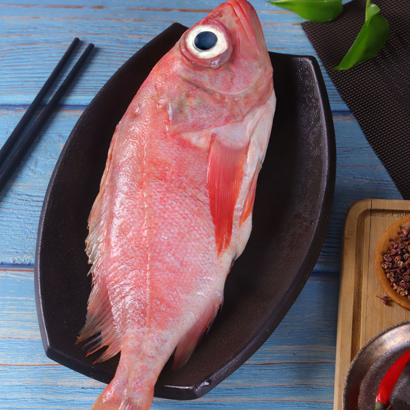 红石斑鱼整条新鲜冷冻野生大龙胆鱼富贵鱼红鱼颌斑石斑鱼海产网红