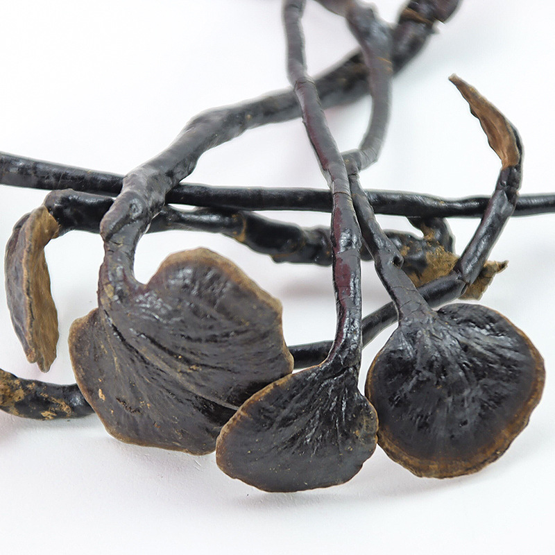 【微苦灵芝】-微苦灵芝厂家,品牌,图片,热帖-阿里巴巴