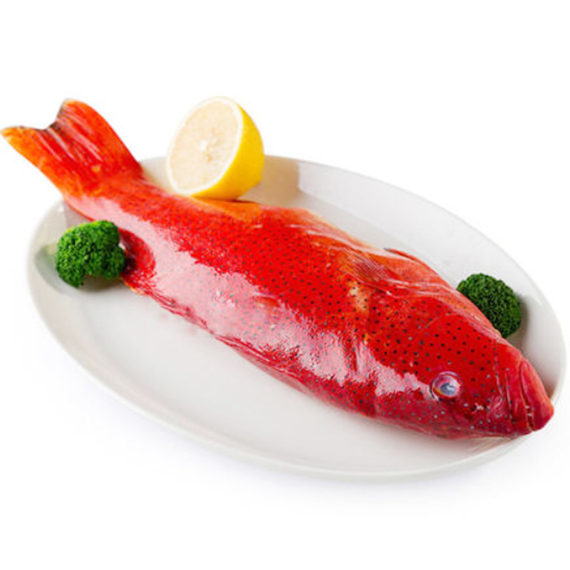 东星斑鲜活石斑鱼生猛海鲜水产深海鱼燕尾斑冷冻批发酒楼商用零售