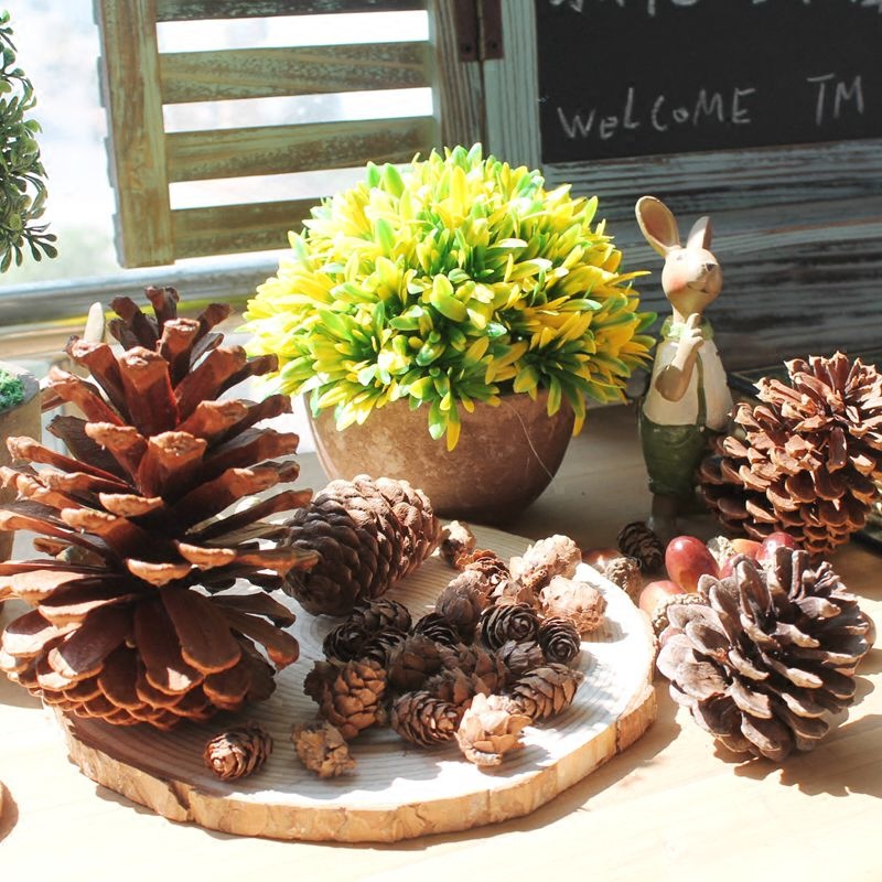 zakka大自然野生松果松塔干花家居装饰拍摄道具装饰物环保