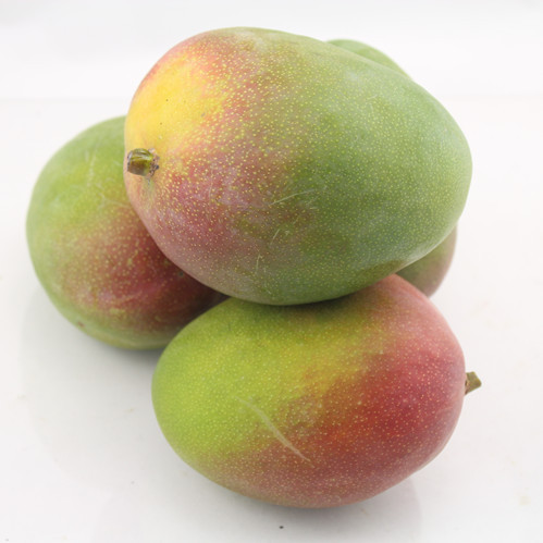 四川攀枝花芒果新的凯特芒新鲜水果10斤当季苹果芒凯特大芒果新鲜