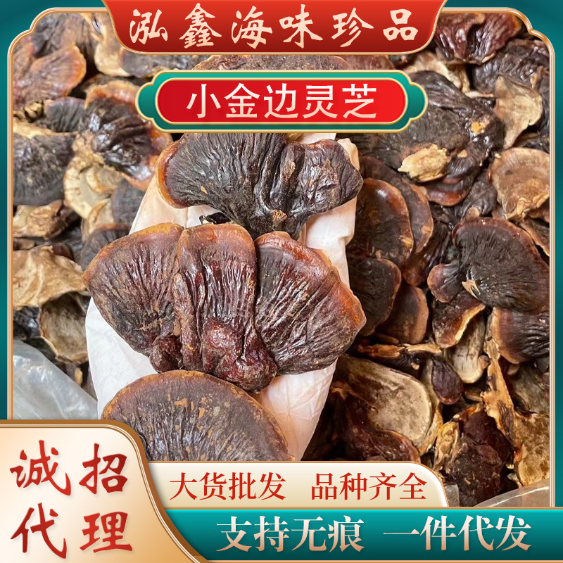 金边小灵芝 长白山金边灵芝 小灵芝 金边小灵芝赤灵芝黑灵芝-阿里巴巴