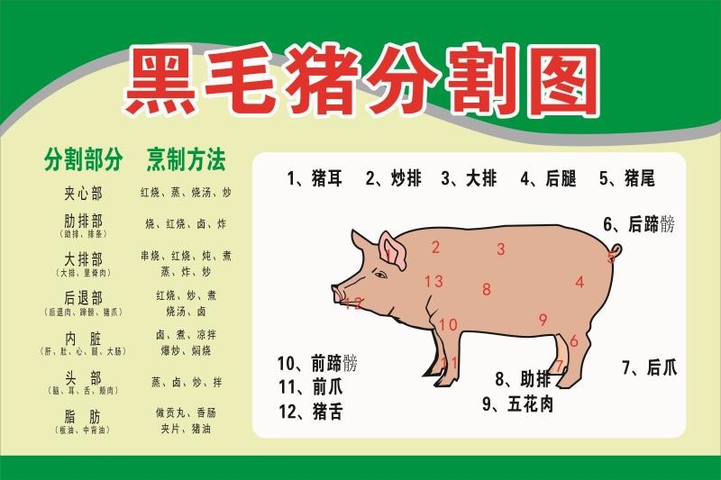 猪肉分割图猪肉图片猪肉店铺背景墙纸生鲜超市黑毛猪分割图海报