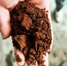 干咖啡渣云南小粒咖啡净化空气除异味除湿除臭养花堆肥散装1000克