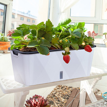 阳台懒人花盆自动吸水盆长方形种菜盆阳台室内多肉蔬菜花卉种植箱