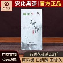 安化黑茶荷香茯砖茶2kg 湖南华莱健官网金花茯砖茶 黑茶茶