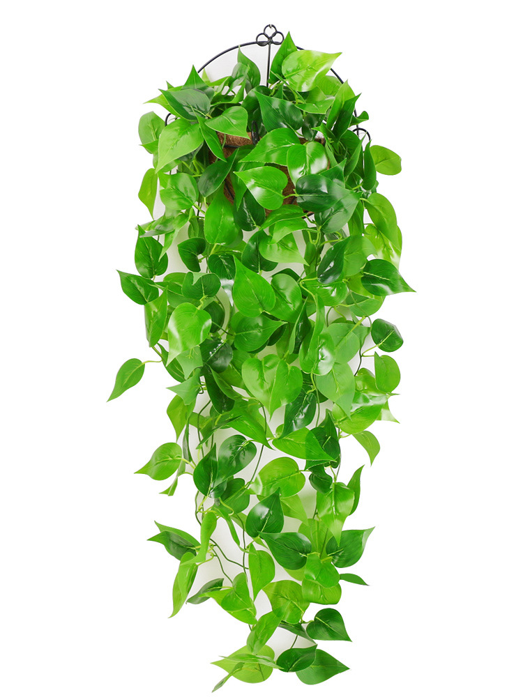 绿萝客厅挂墙绿植壁挂植物装饰垂吊假花藤条室内藤蔓吊兰吊篮