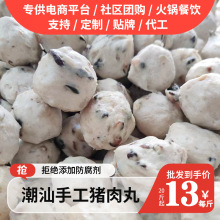 潮汕特产美食香菇猪肉丸火锅底料关东煮麻辣烫食材冷冻手工串串香