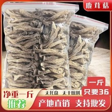 特级鹿茸菇干货无硫鹿茸菌干香菇干货土特产无添加产地直销批发价