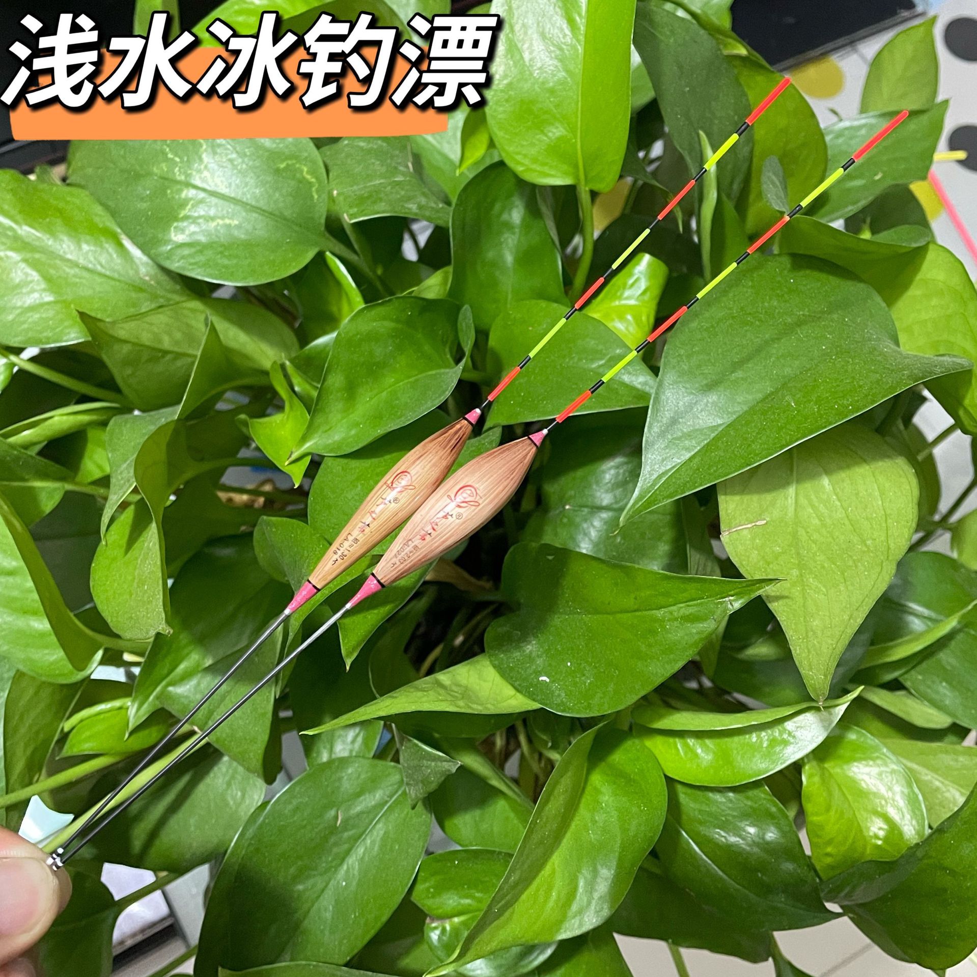 芦苇孔雀羽超短浮漂钓草洞浅水大棚冬钓柳根鲫鲤鱼草根抛竿短鱼漂