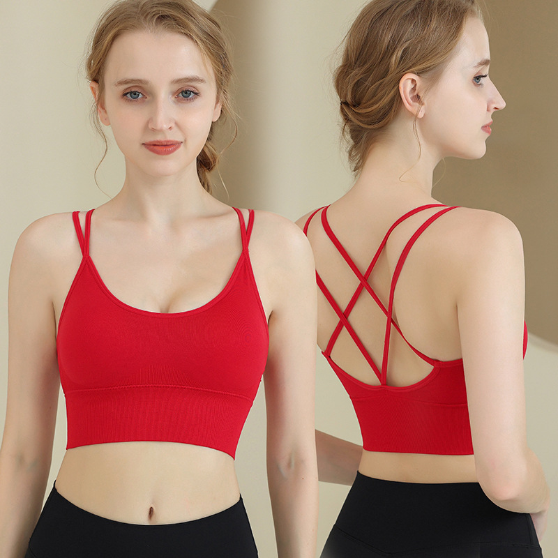 european and american large size cross back yoga sports bra wireless high shockproof breathable fitness sports vest for women