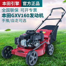本田GXV160手推割草机原装HRJ216草坪机物业修剪机打草汽油自走式