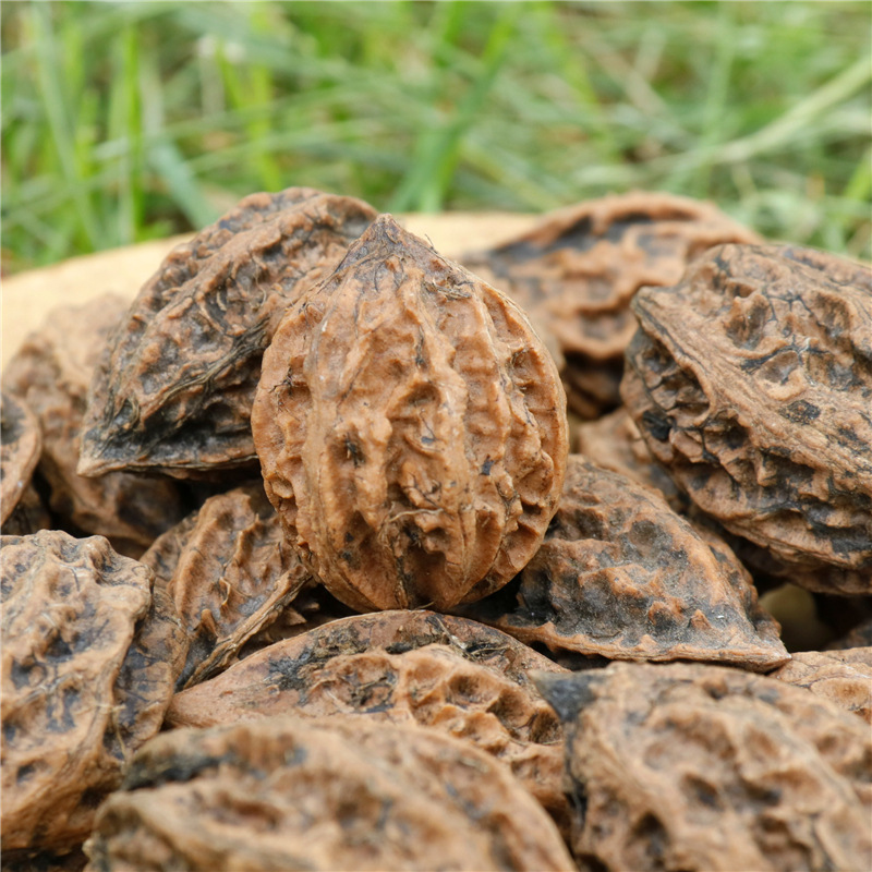 东北特产黑龙江伊春野生硬皮山核桃小秋子手把件文玩零食500g包邮