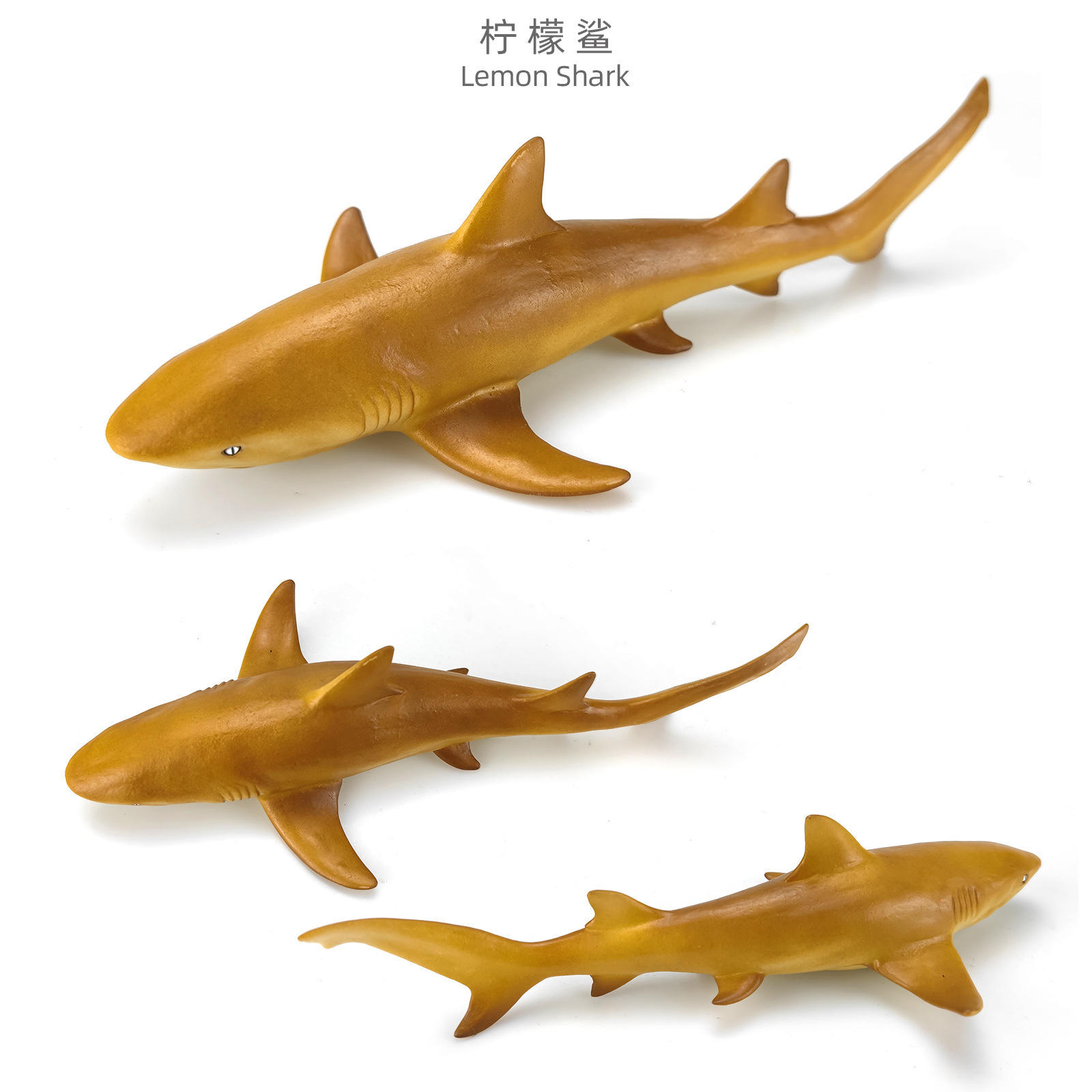 批发仿真海洋生物模型儿童早教动物玩具大白鲨食人鲨装饰摆件手办