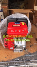 重庆170F汽油发动机打谷机震动棒打药泵微耕机专用动力包邮