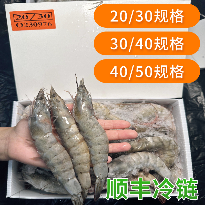 20304050盐冻虾海洋大虾连云港青岛鲜活冷冻南美冻虾厄瓜多尔白虾
