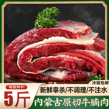 内蒙古新鲜牛腩肉原切正宗散养黄牛肉生牛肉牛腿肉纯牛肉批发商用