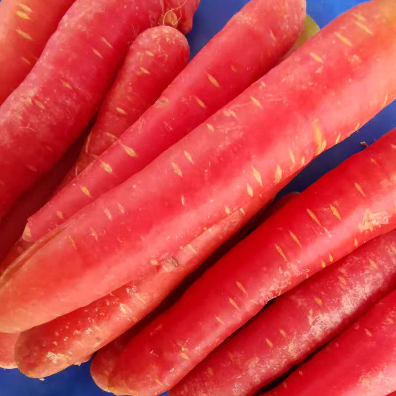 四川红萝卜-四川红萝卜厂家,品牌,图片,热帖-阿里巴巴