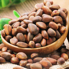 大兴安岭生雪松子可水煮野生俄罗斯原味薄皮手剥松子500g包邮