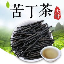 余庆小叶苦丁茶正品发酵特级贵州特产苦茶叶袋装茶