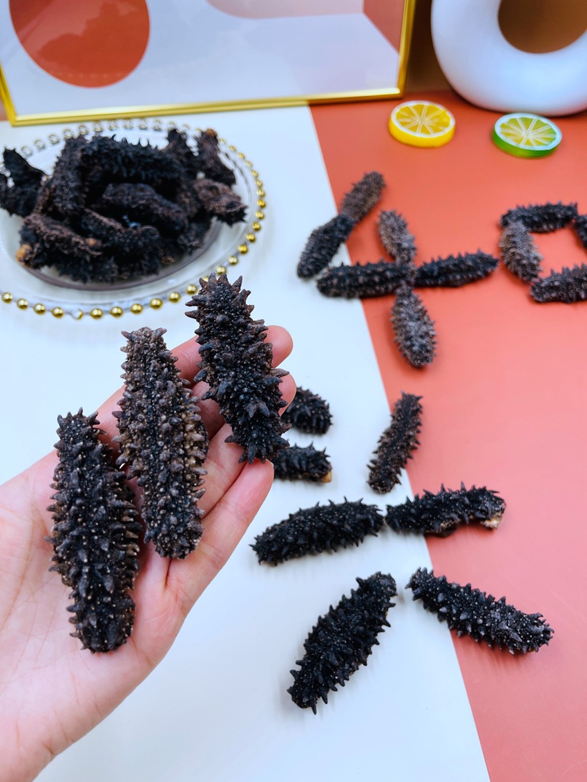 俄罗斯海参40头红参 淡干原货6排刺 一斤40根约 一件代发批发