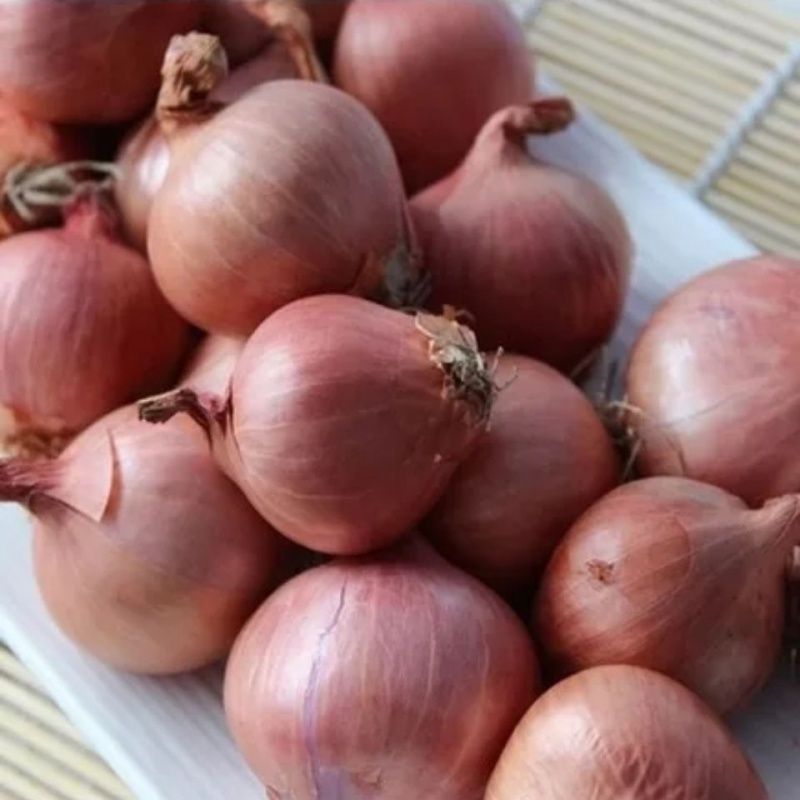 东北笨毛葱鬼子葱珠葱批发 疫区不发请配合退款 紫皮不退换