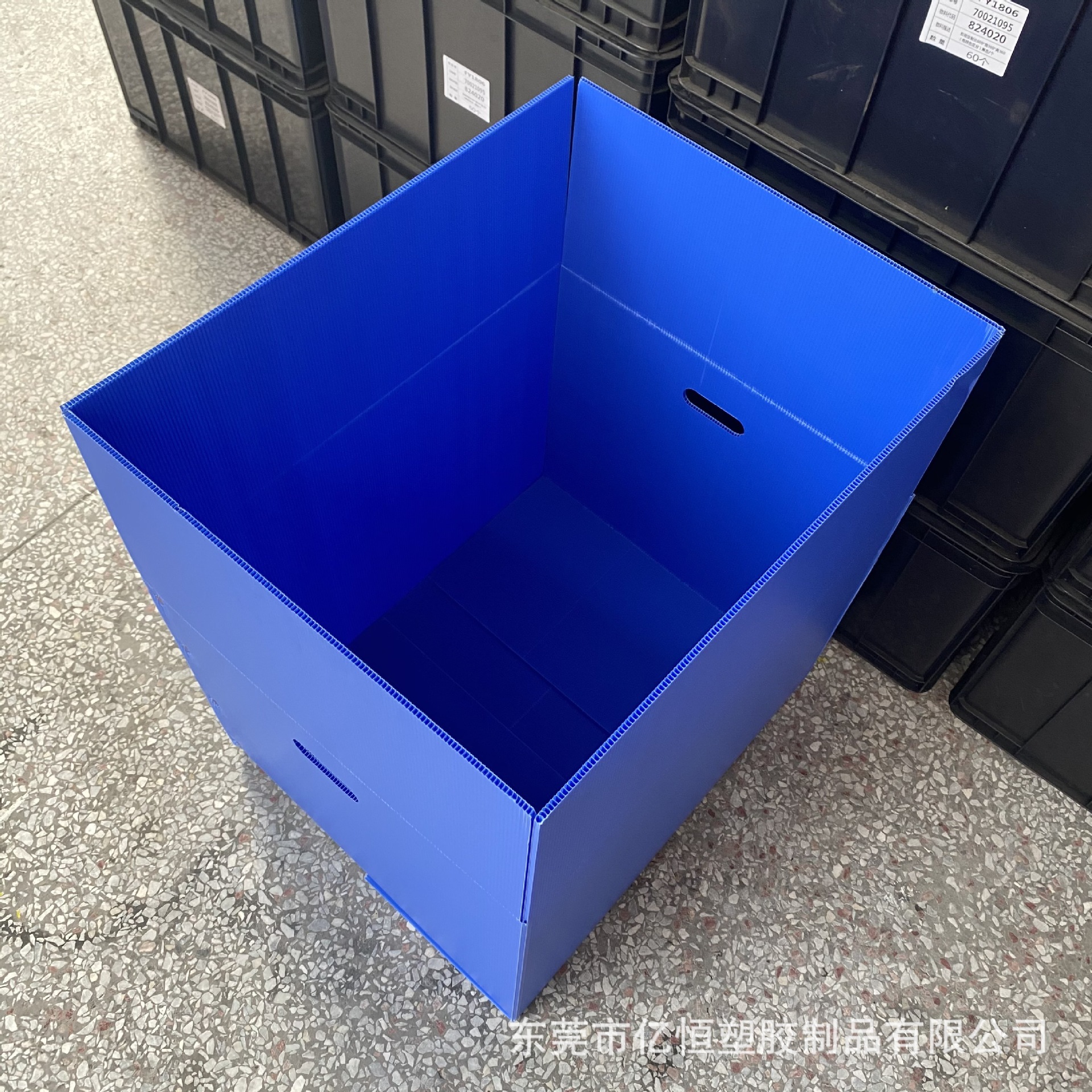 塑料中空板箱 纸箱式真空板周转箱 蓝色万通板纸箱 按尺寸定制
