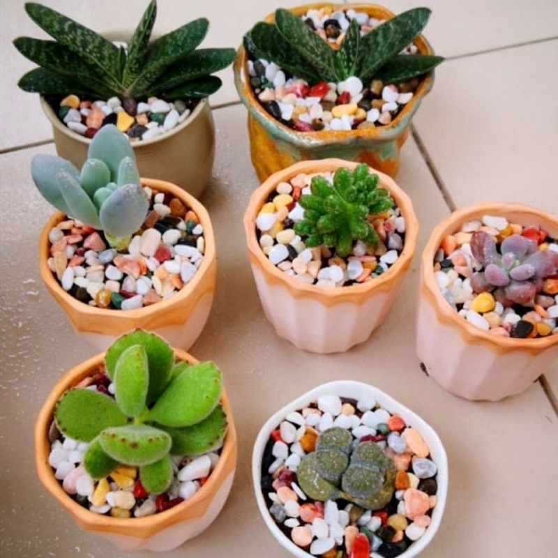 02成交4件五彩石鹅卵石雨花石原石鱼缸造景花盆栽小石子鹅软石彩色