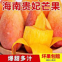 现摘海南贵妃芒果10斤新鲜水果当季热带红金龙甜心芒整箱1斤3包邮
