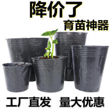 营养杯育苗杯一次性黑色营养袋育苗袋大号播种植塑料育苗盆营养钵