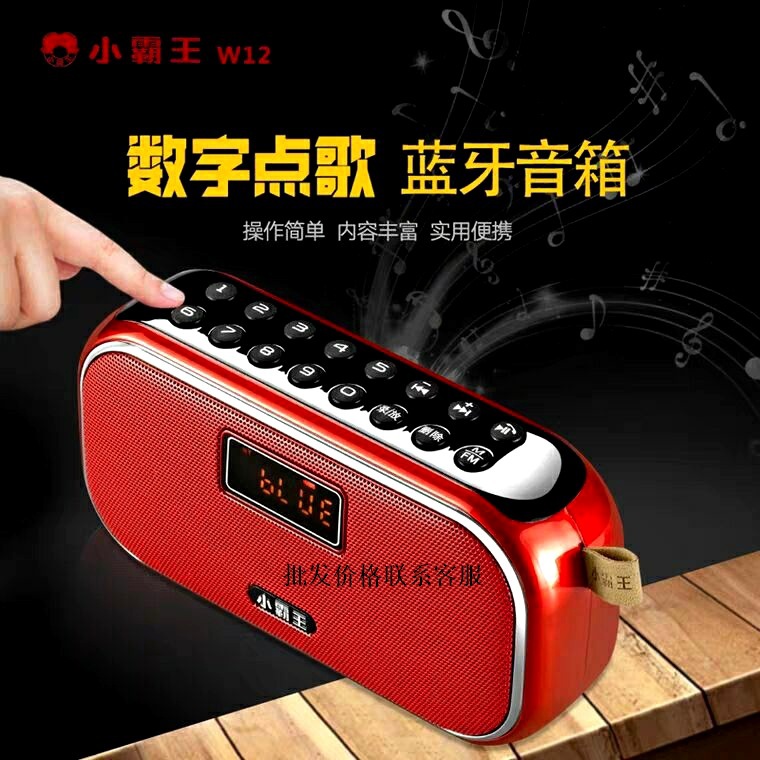 Little Overlord W12 Portable Bluetooth Speaker Radio Recorder Elderly Walkman Subwoofer Outdoor Sound Box