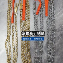 Teddy dog leash pet supplies chain golden hair 泰迪狗牵引绳1