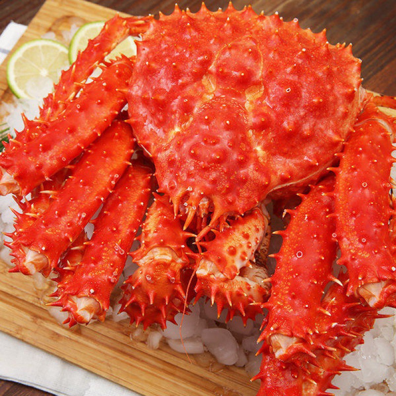 熟冻帝王蟹 大帝皇蟹 蟹 海捕大螃蟹 大海鲜长脚蟹智利帝王蟹