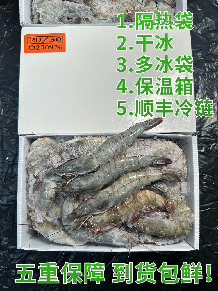 20304050盐冻虾海洋大虾连云港青岛鲜活冷冻南美冻虾厄瓜多尔白虾