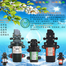 厂家直销12v水泵 电动喷雾器隔膜泵微型洗车水泵家用220v 高