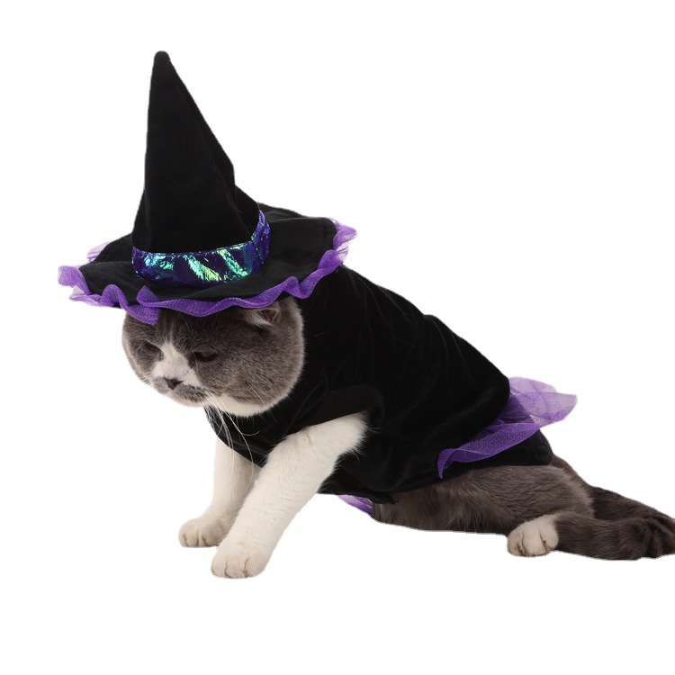 2023 New Christmas Wizard Pet Suit Halloween Dog Clothes Pet Cat Dog Clothing Cross-Border Wholesale