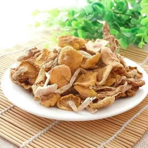东北大兴安岭野生滑子菇干货小黄磨滑菇香菇类小鸡炖蘑菇新货特产