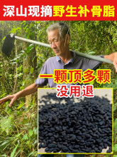 爷爷挖的深山纯野生补骨脂500g中药材片饮粉酚破故纸黑故子婆固脂