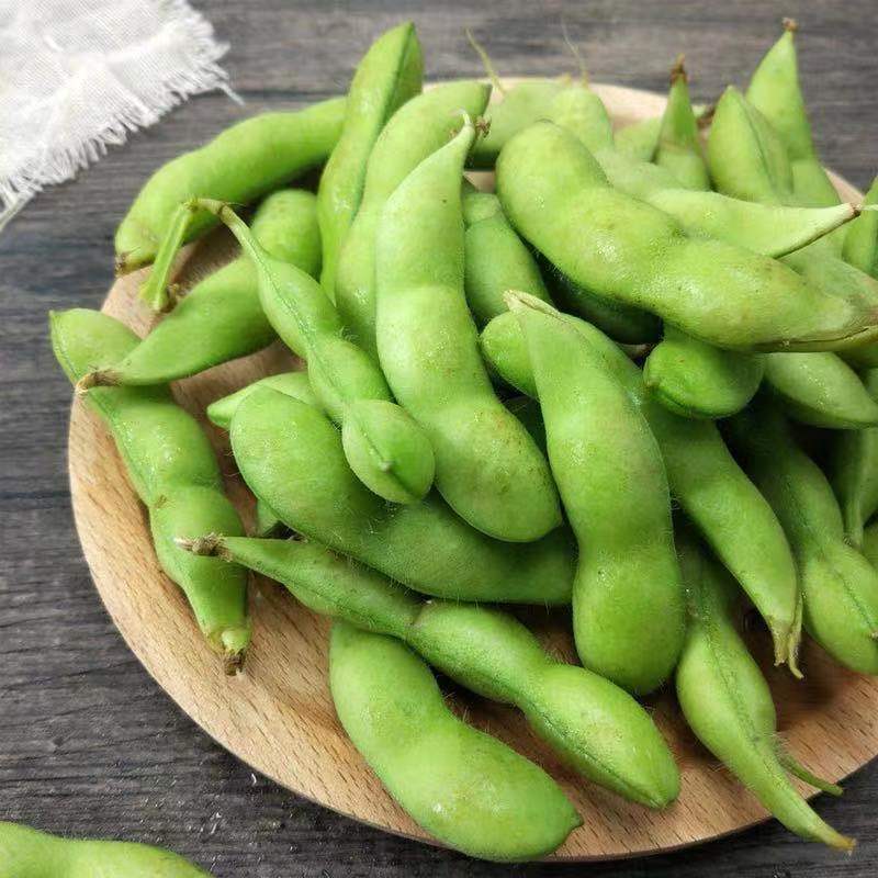 毛豆产地直发新鲜带壳生毛豆青应季青豆新鲜蔬菜现摘现发一件批发
