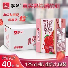 蒙牛真果粒125ml*40盒装草莓真果粒酸奶儿童早餐奶优酸乳牛奶散装