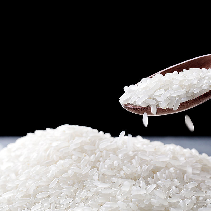 东北大米斤斤 长粒香稻花香厂家批发低价五常新米农家鸭稻米批发