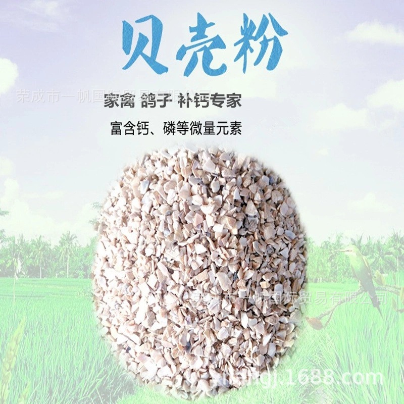供应贝壳粉牡蛎壳粉厂家现货饲料级土壤调理剂蛋鸡蛋鸭饲料原料